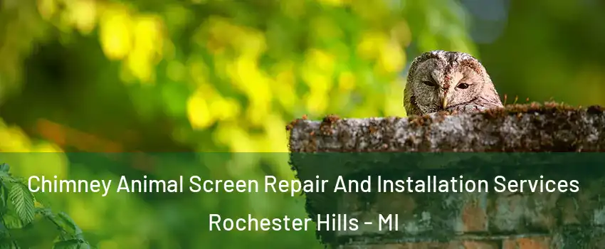  Chimney Animal Screen Repair And Installation Services Rochester Hills - MI