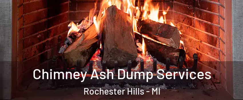 Chimney Ash Dump Services Rochester Hills - MI