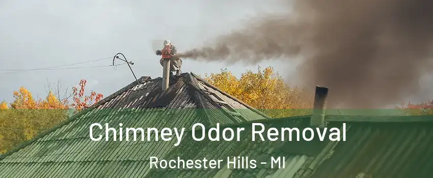  Chimney Odor Removal Rochester Hills - MI