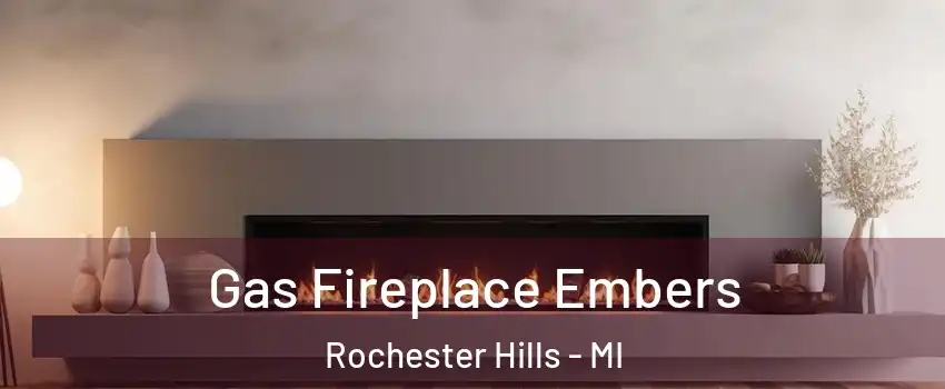  Gas Fireplace Embers Rochester Hills - MI