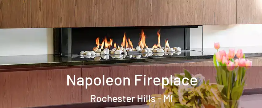  Napoleon Fireplace Rochester Hills - MI