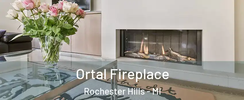  Ortal Fireplace Rochester Hills - MI