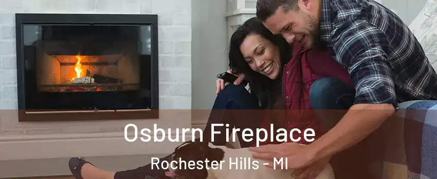  Osburn Fireplace Rochester Hills - MI